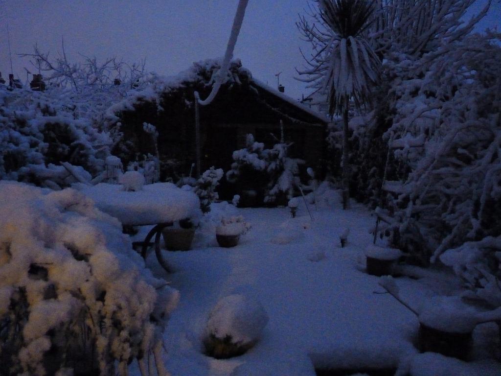 Snow 03 The Storm Abated
